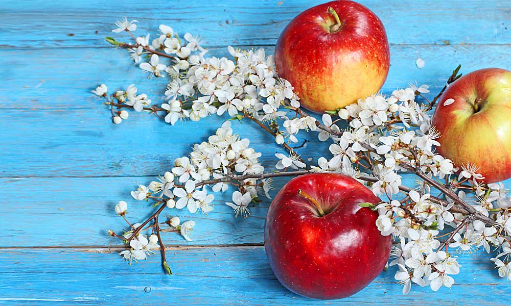 Spicy Apple, el aroma de este otoño